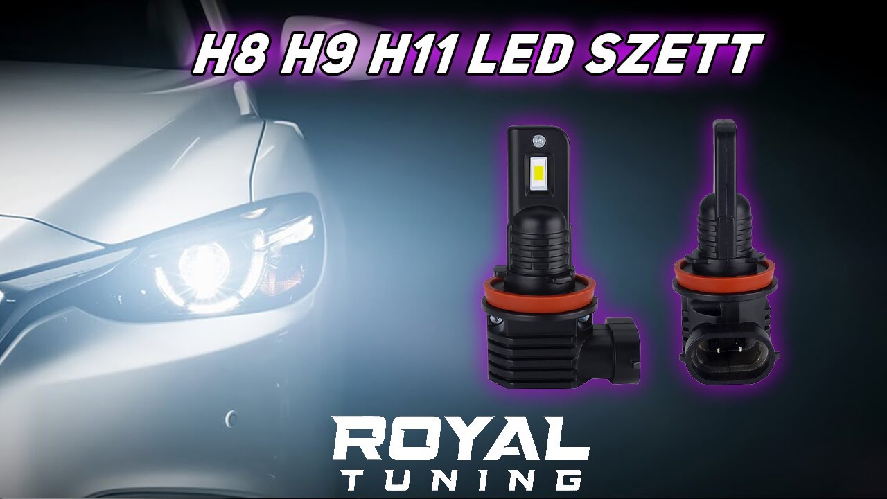 H16 Led izzó Black Series 2db