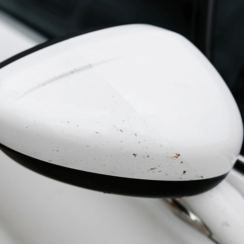 K2 Nuta Anti Insect Pro bogár eltávolító spray 1L