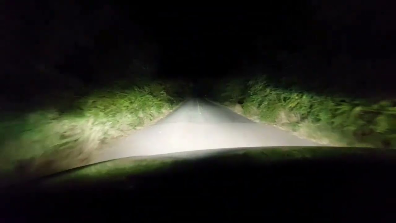 D1S xenon izzó 4300K Premium